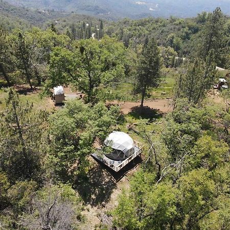 Enchanted Forest Dome ,10-15 Minutes To Kings Canyons-New Pellet Stove For Cozy Warm Nights Dunlap Esterno foto