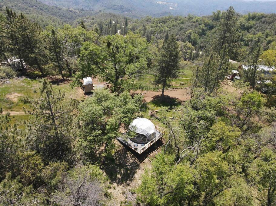 Enchanted Forest Dome ,10-15 Minutes To Kings Canyons-New Pellet Stove For Cozy Warm Nights Dunlap Esterno foto